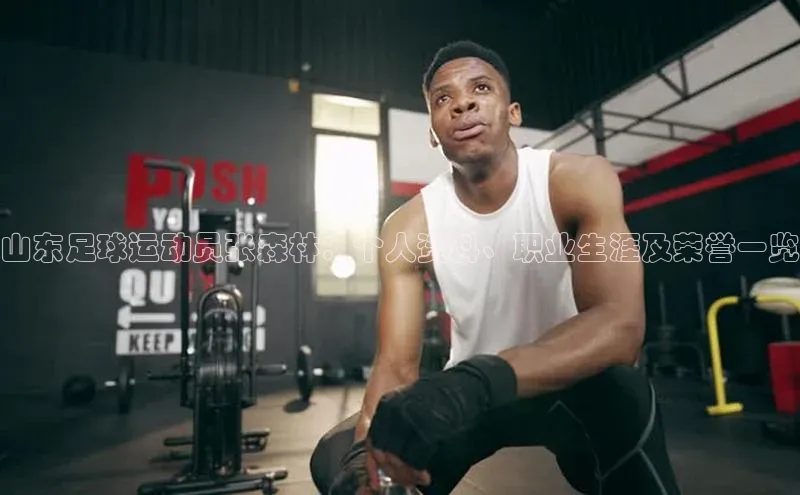 龙8官网正版百度网盘山东足球运动员张森林：个人资料、职业生涯及荣誉一览