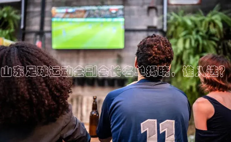 头号玩家官方网站百度智能门户山东足球运动会副会长名单揭晓，谁入选？