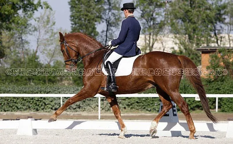 龙8中国官网唯一入口58同城《探秘足球运动员奥特的身世和成就：揭秘他的足球生涯来龙去脉》