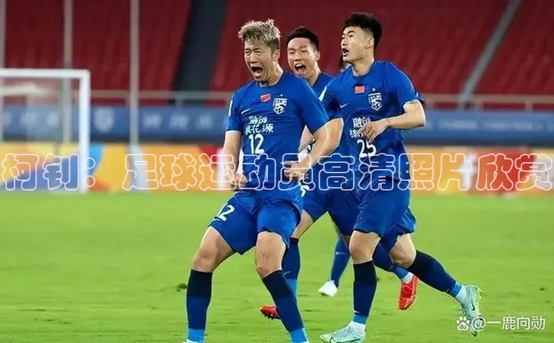 龙8官网在线试玩路畅科技柯钊：足球运动员高清照片欣赏