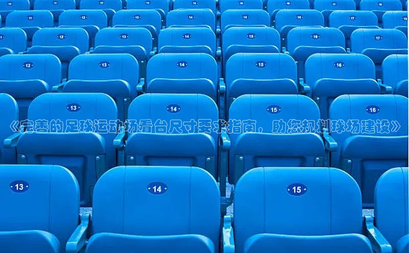 龙8官网 long8 bet百度学术《完善的足球运动场看台尺寸要求指南，助您规划球场建设》