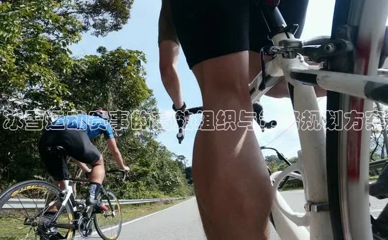 冰雪运动赛事的高效组织与策略规划方案