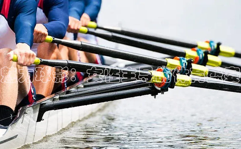 魅力球影：女性主导的体育盛宴