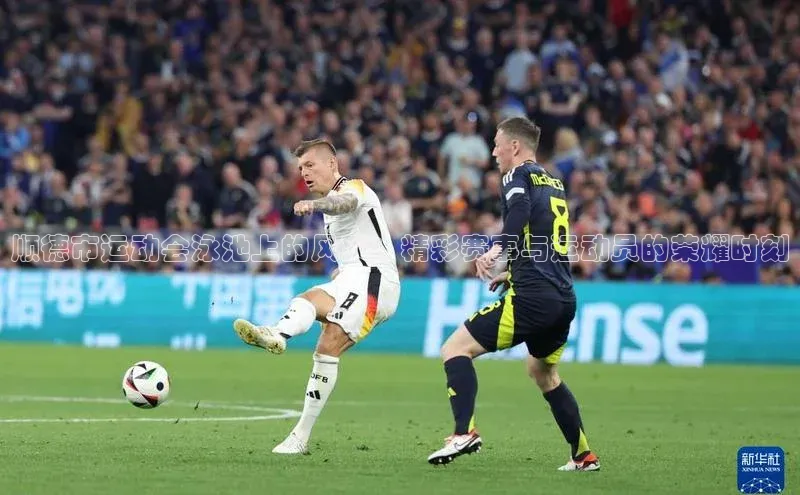 顺德市运动会泳池上的风采：精彩赛事与运动员的荣耀时刻