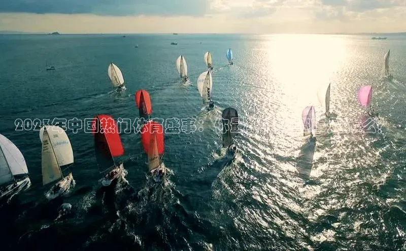 2023年中国热门体育盛事：你最期待的赛事是什么？