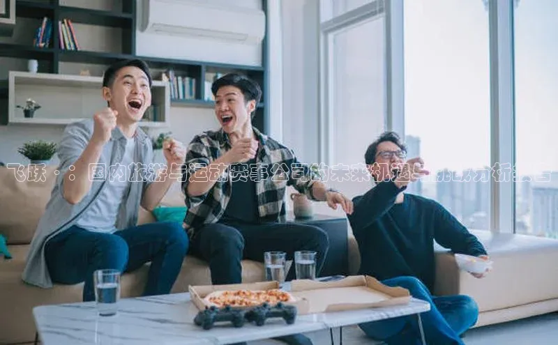 飞跃·：国内旅游与运动赛事公司的未来机遇与挑战分析报告