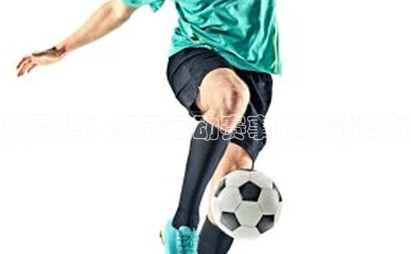 温哥华：多元运动赛事的精彩舞台