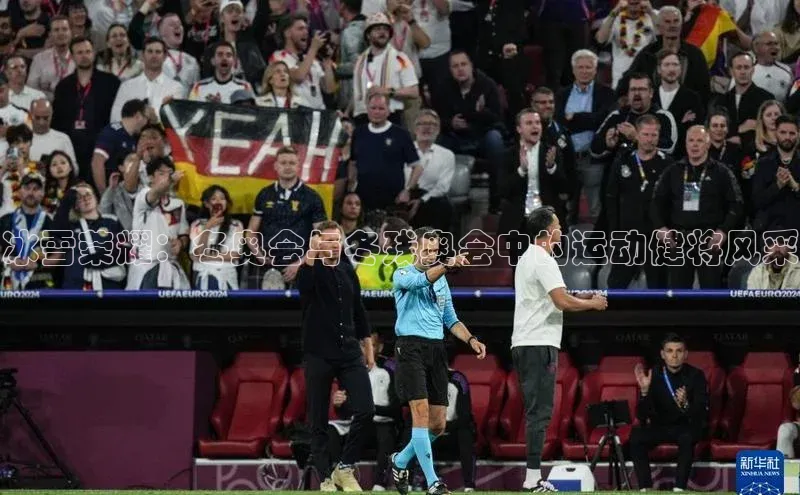 冰雪荣耀：冬奥会与冬残奥会中的运动健将风采