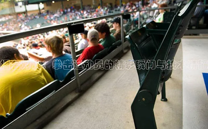 擂台对决：拳击运动员的精彩瞬间与技术精髓