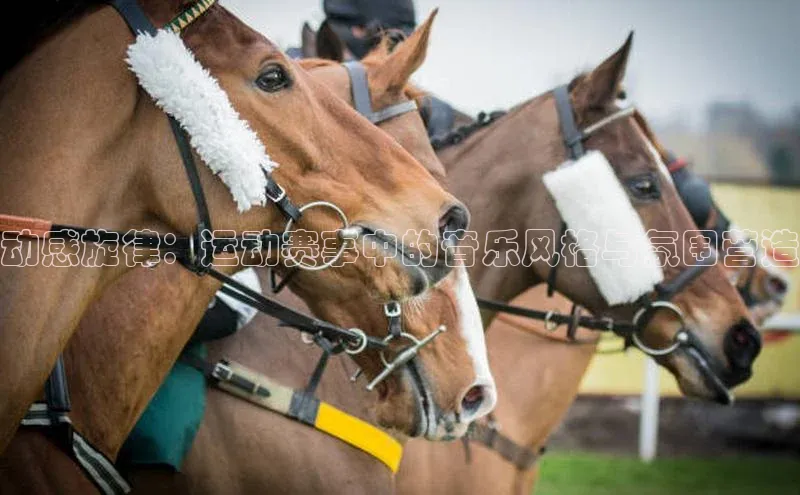动感旋律：运动赛事中的音乐风格与氛围营造