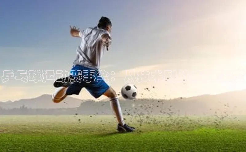 乒乓球运动赛事全：从技术到战术的深度