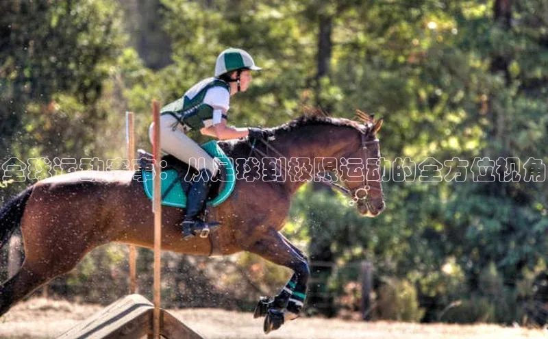 龙8官网在线试玩