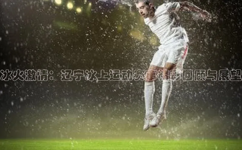 冰火激情：辽宁冰上运动赛事精彩回顾与展望